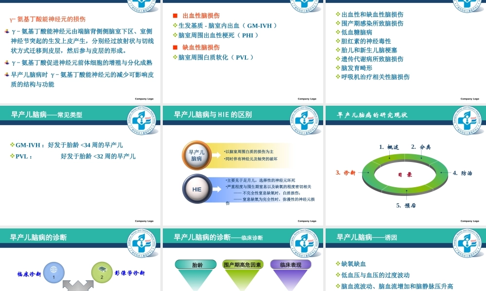 早产儿脑病的研究现状.ppt