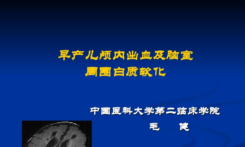 早产儿颅内出血及脑室周围白质软化--中国医大盛京医院.ppt