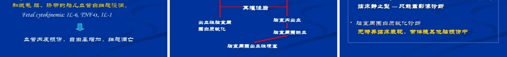 早产儿颅内出血及脑室周围白质软化--中国医大盛京医院.ppt