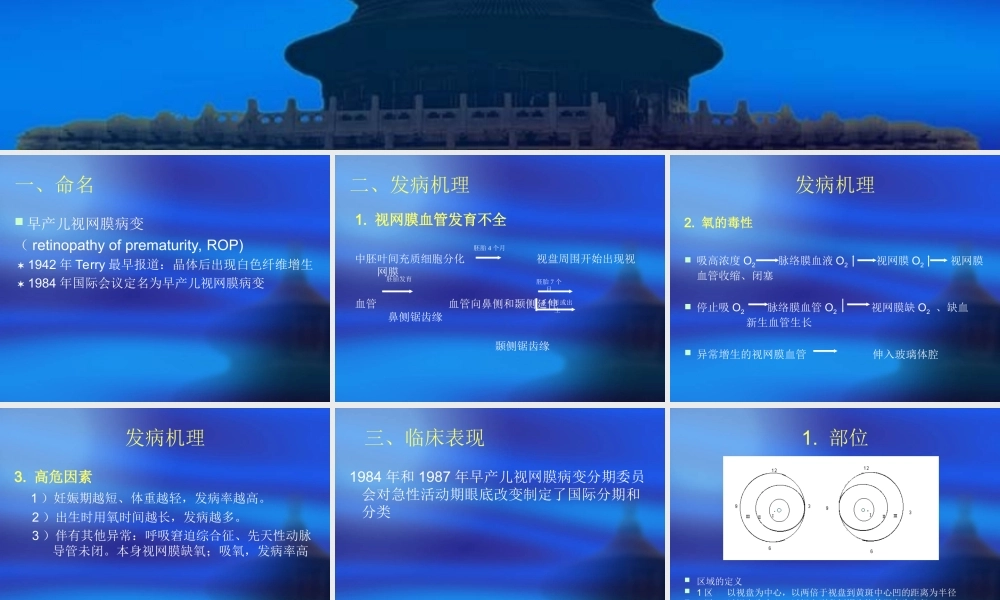 早产儿视网膜病变.ppt