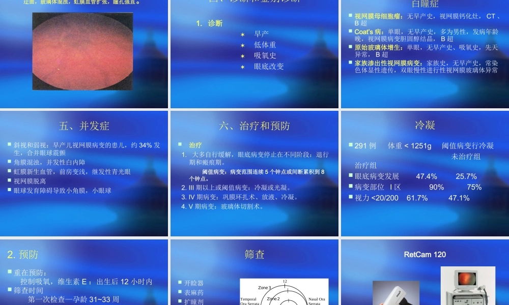 早产儿视网膜病变.ppt