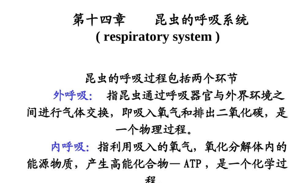 昆虫的呼吸系统1PPT.ppt