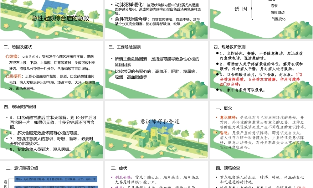 昏迷病人的救护与处理全解.ppt