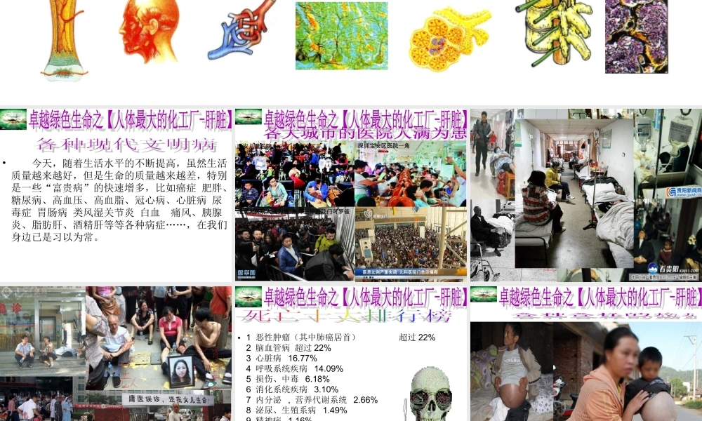 春季养肝蔡皇基ppt---石狮.ppt