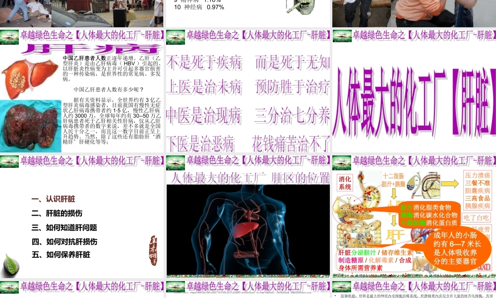 春季养肝蔡皇基ppt---石狮.ppt