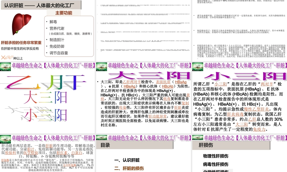 春季养肝蔡皇基ppt---石狮.ppt