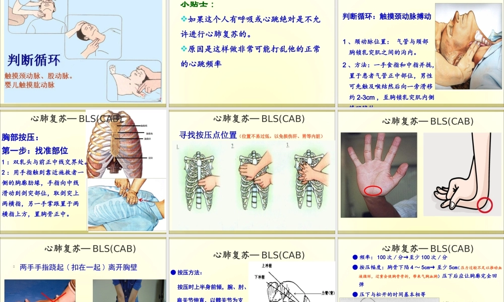 最亲近的人心脏骤停了怎么办——心肺复苏.ppt