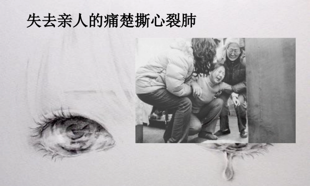 最新危重病人的发现和评价-PPT文档.ppt