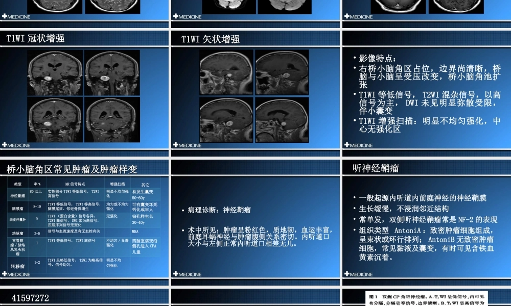 桥小脑角区占位.ppt