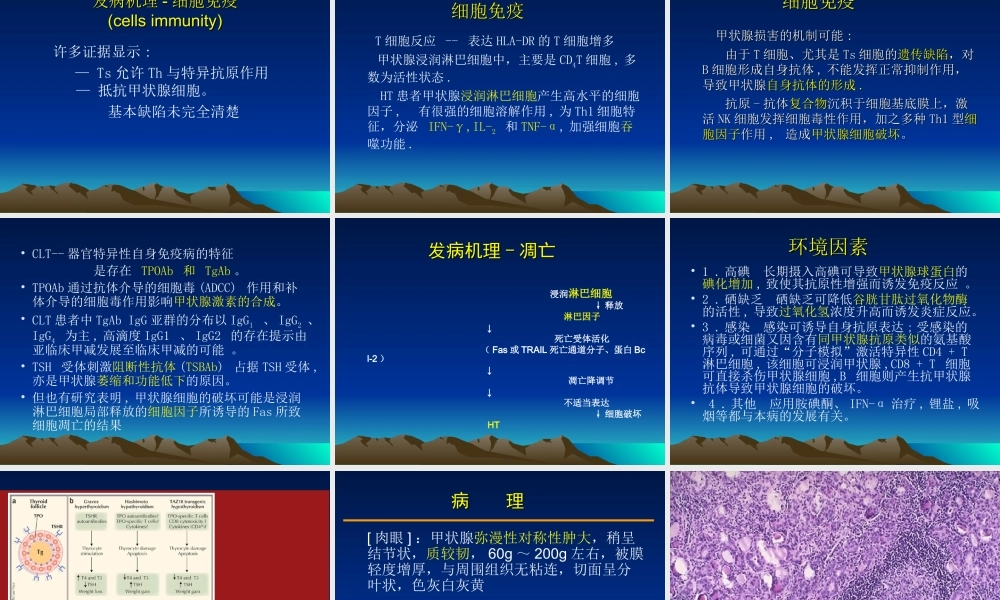 桥本氏甲状腺炎.ppt