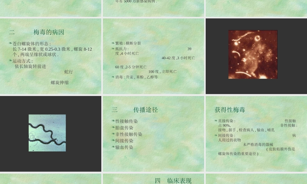 梅毒淋病详解.ppt