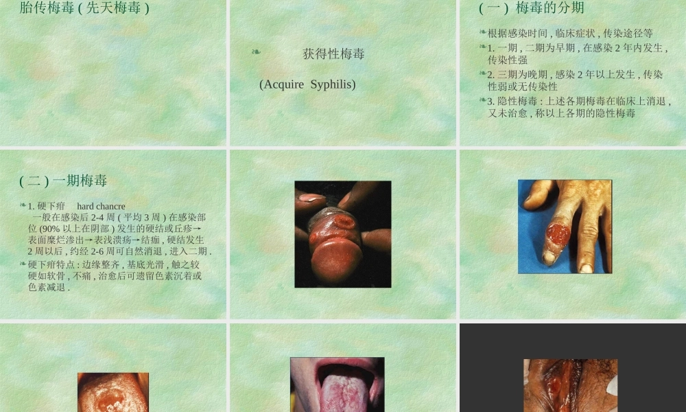 梅毒淋病详解.ppt