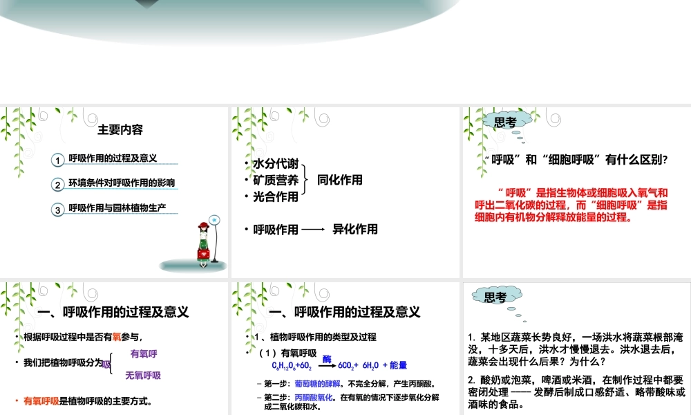 植物的呼吸作用2(有氧呼吸和无氧呼吸)分析.ppt