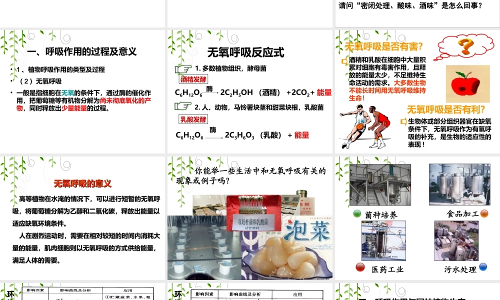 植物的呼吸作用2(有氧呼吸和无氧呼吸)分析.ppt