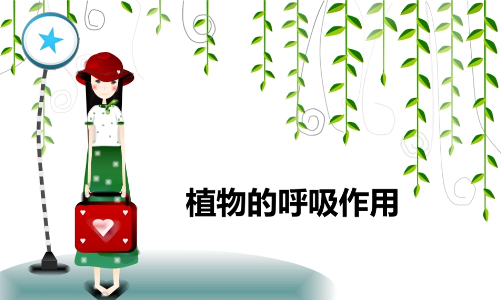 植物的呼吸作用2(有氧呼吸和无氧呼吸)概况.ppt