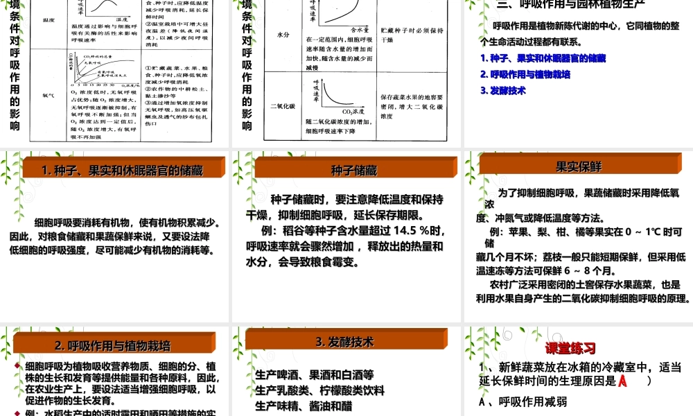 植物的呼吸作用2(有氧呼吸和无氧呼吸)概况.ppt