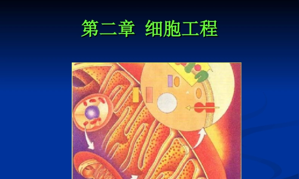 植物细胞工程及其应用.ppt