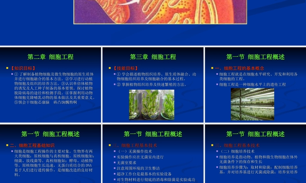 植物细胞工程及其应用.ppt