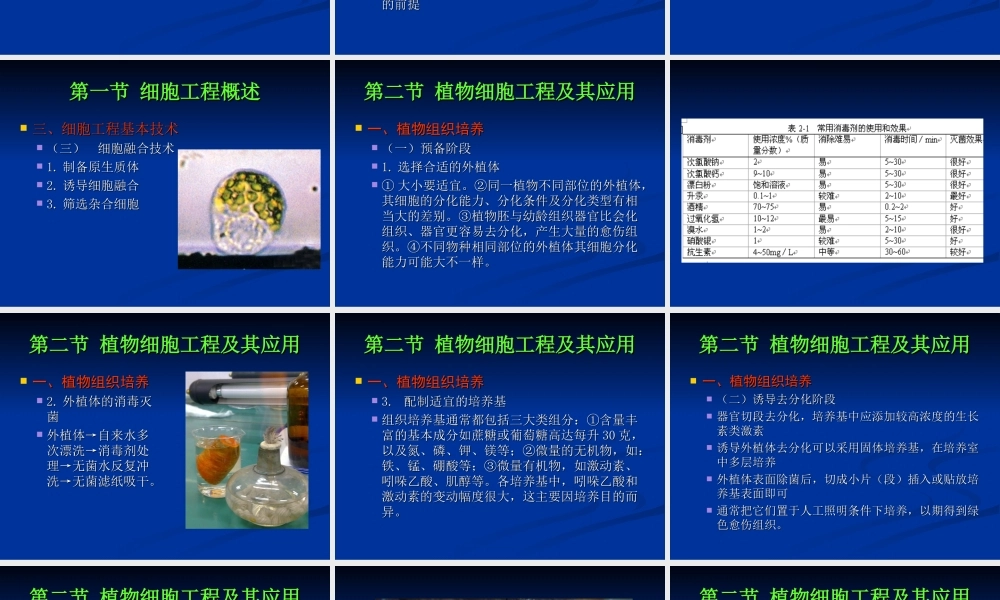 植物细胞工程及其应用.ppt