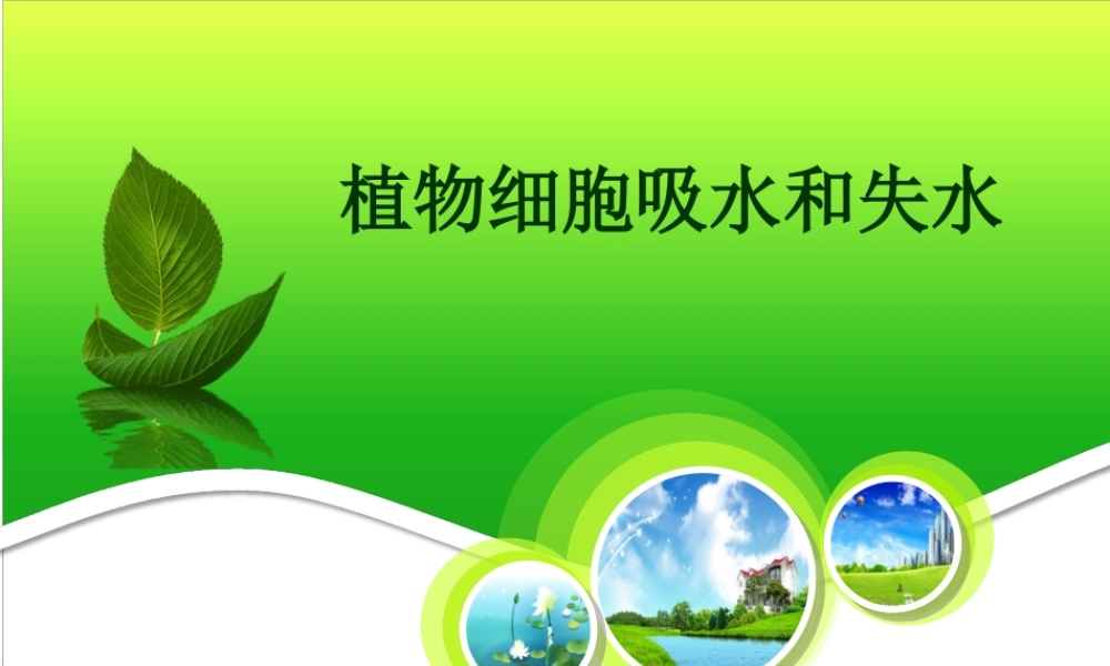 植物细胞的吸水和失水原理.ppt