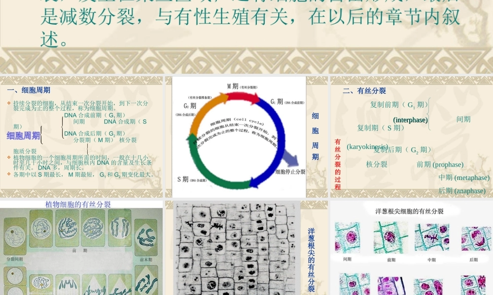 植物细胞的分裂概述.ppt