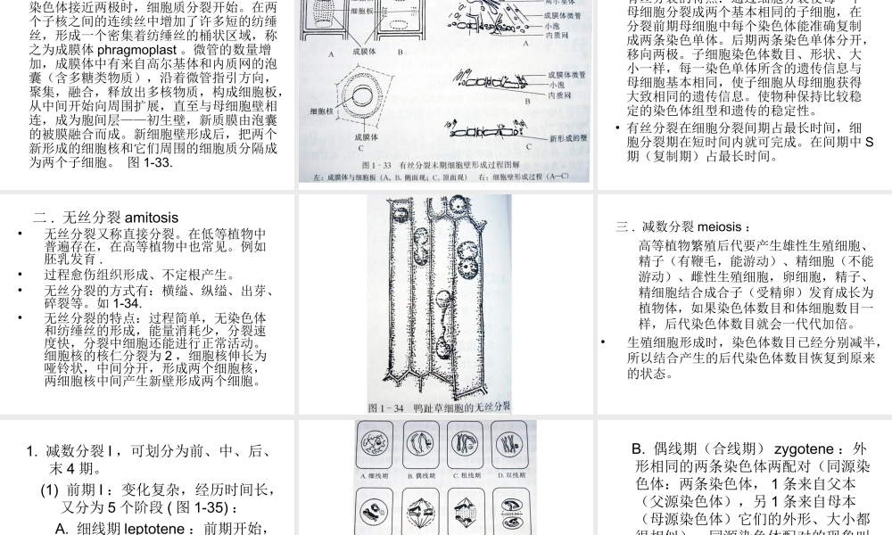 植物细胞的繁殖从单细胞的藻类到大树都通过细胞.ppt