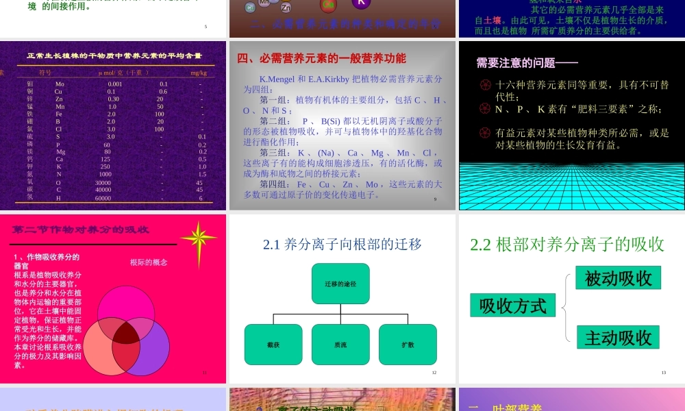 植物营养的基础理论(精).ppt