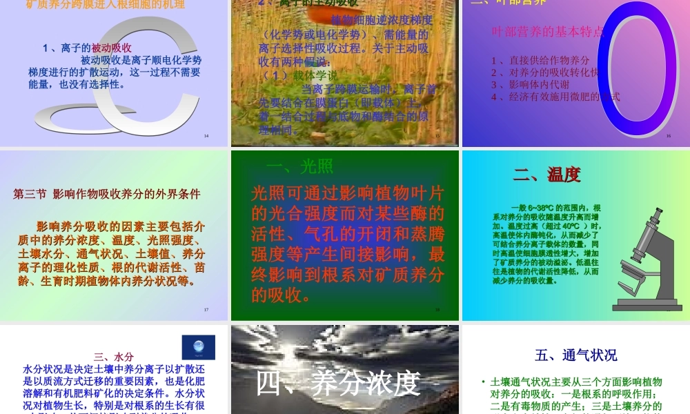 植物营养的基础理论(精).ppt