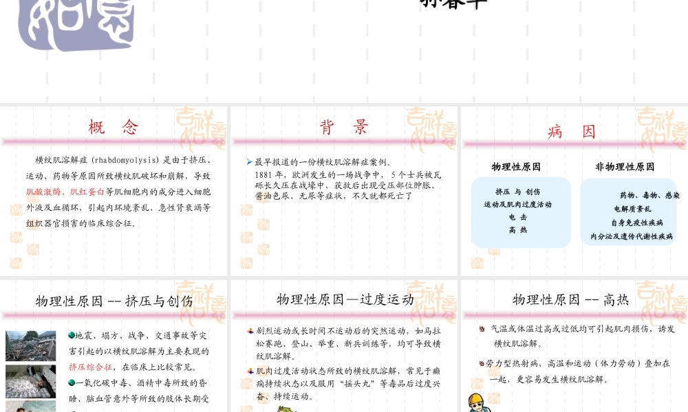 横纹肌溶解症sch.ppt