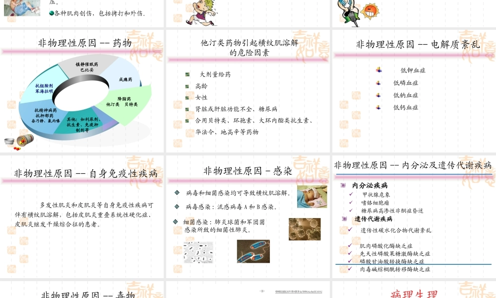 横纹肌溶解症sch.ppt