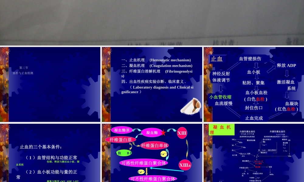 止血与凝血障碍的检查.ppt
