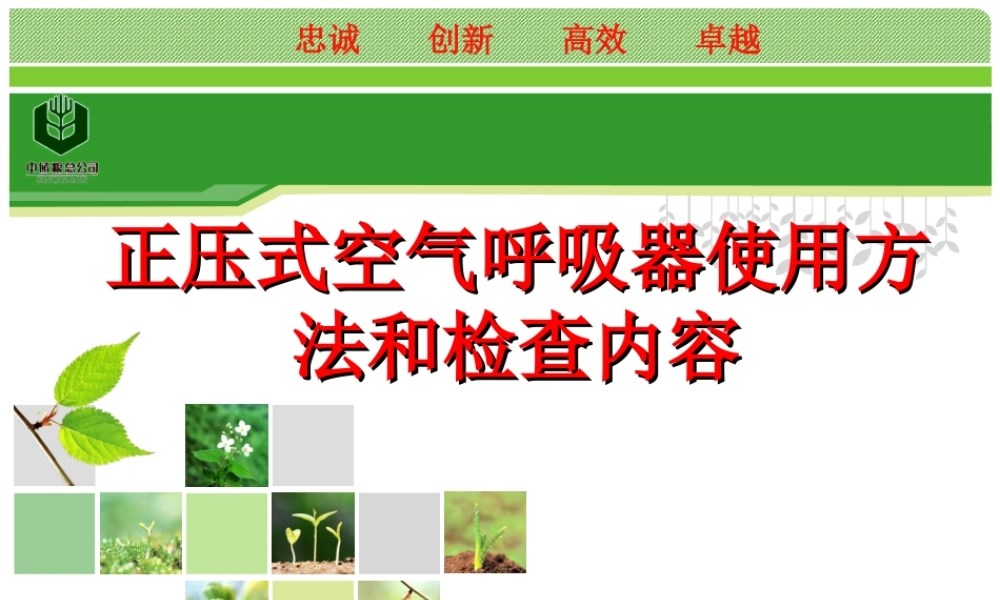 正压式空气呼吸器使用方法和检查内容.ppt