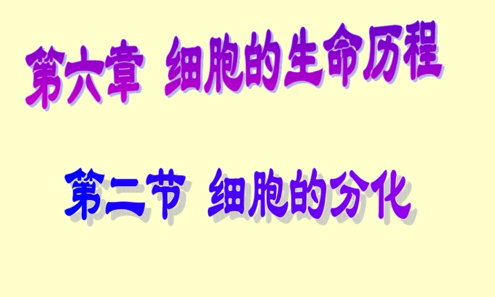 正常人的红细胞的寿命为120d-白细胞的寿命为5-7d-这些血分解.ppt