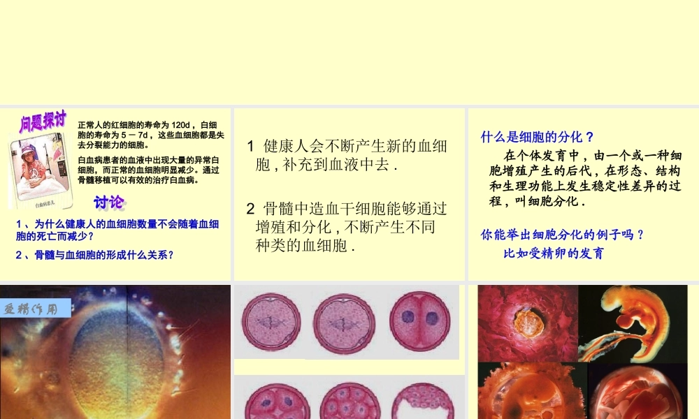 正常人的红细胞的寿命为120d-白细胞的寿命为5-7d-这些血分解.ppt