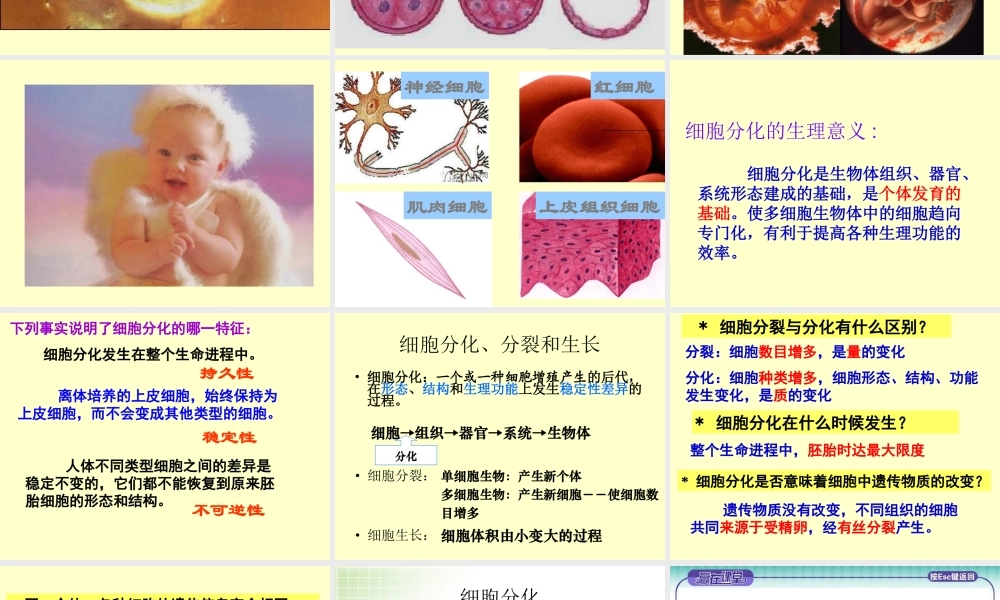 正常人的红细胞的寿命为120d-白细胞的寿命为5-7d-这些血分解.ppt