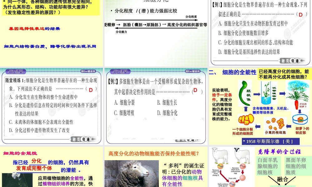 正常人的红细胞的寿命为120d-白细胞的寿命为5-7d-这些血分解.ppt