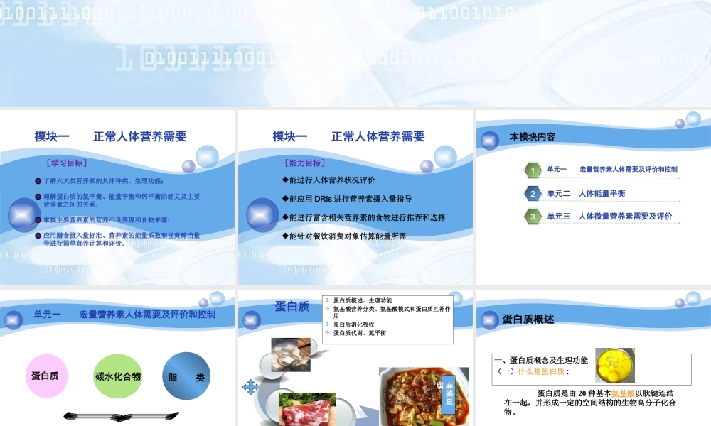 正常人体营养需要-文档资料.ppt