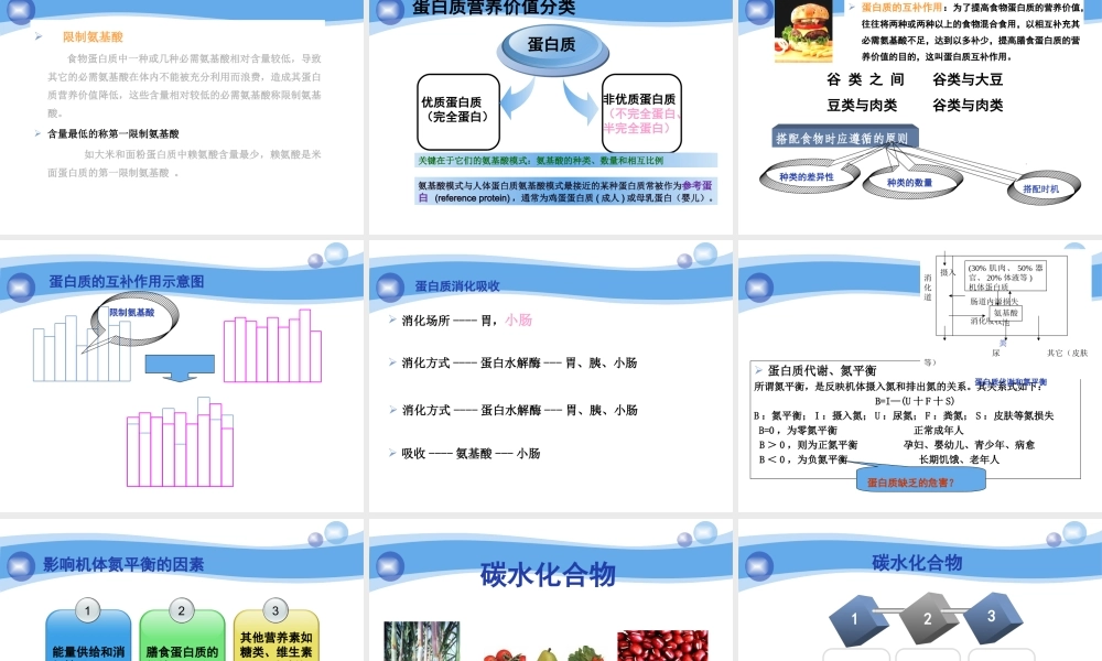 正常人体营养需要.ppt