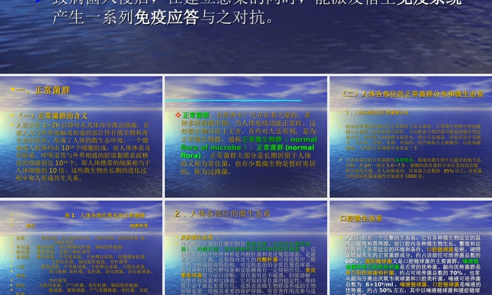 正常微生态系及感染.ppt