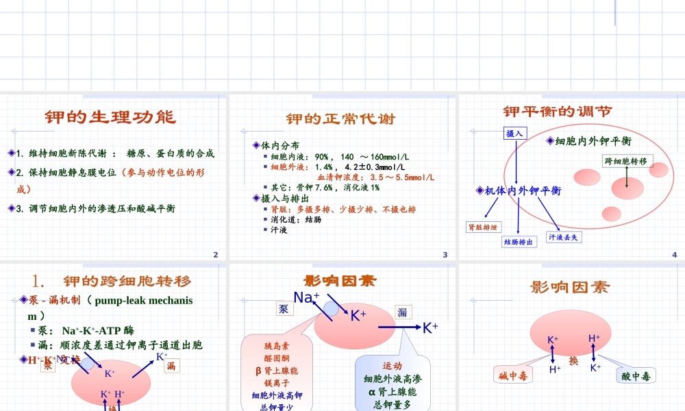 正常钾代谢及钾代谢障碍.ppt