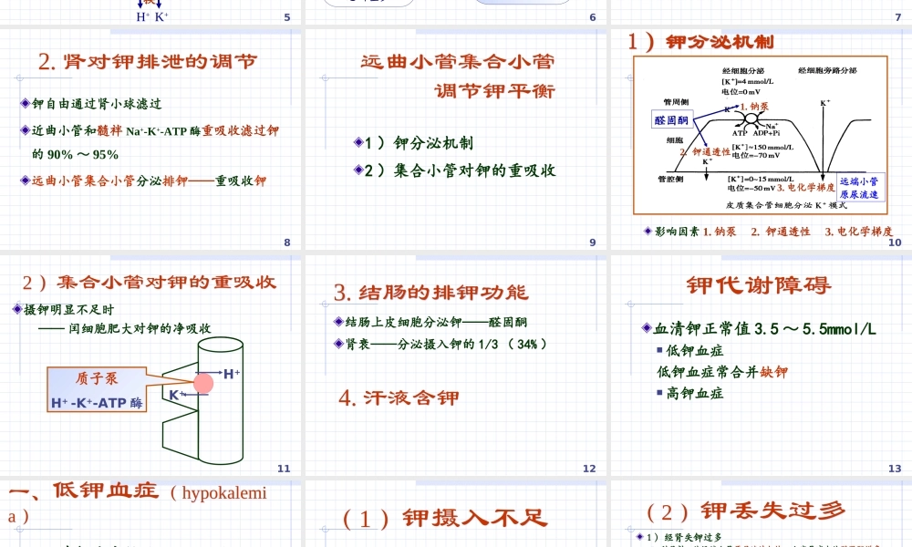 正常钾代谢及钾代谢障碍.ppt
