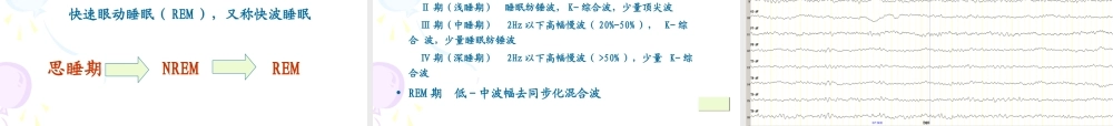 正确判断与应用小儿脑电图-.ppt