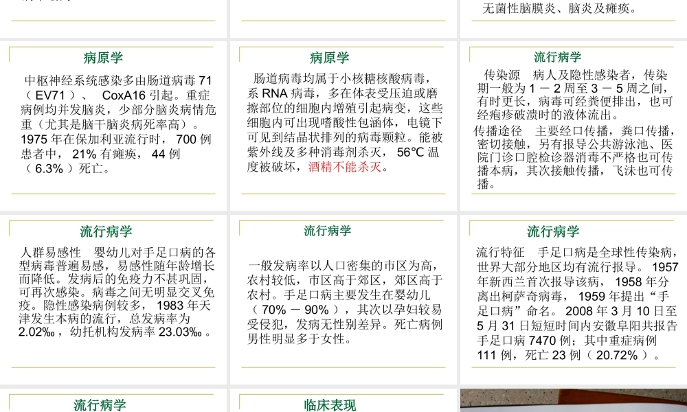 正确认识手足口病.ppt