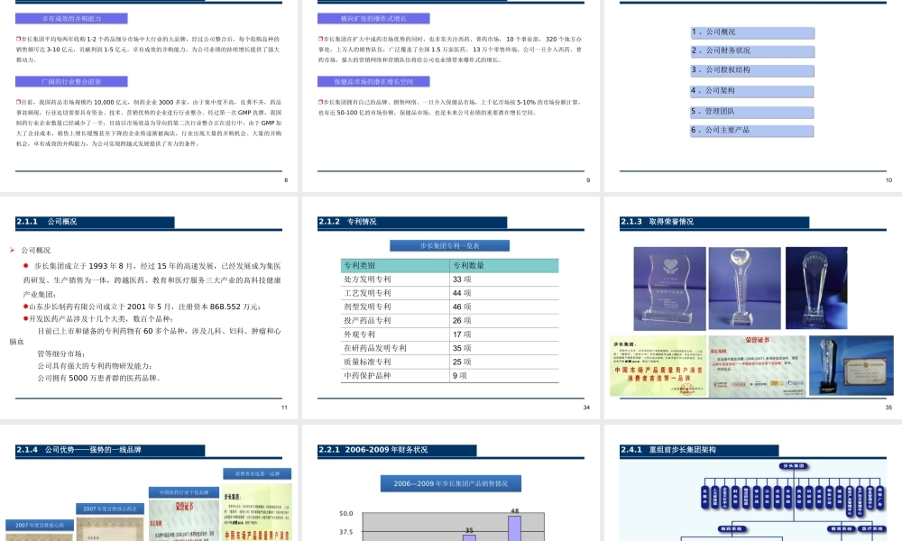 步长制药项目演示文稿.ppt