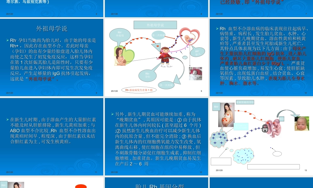 母儿血型不和原理---Rh1.ppt