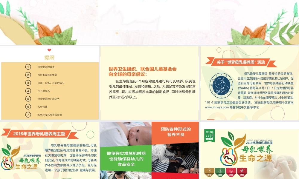 母乳喂养-生命之源.ppt