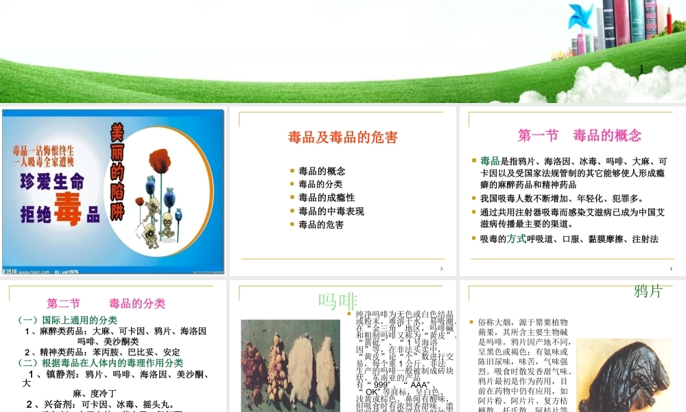 毒品及毒品的危害..ppt