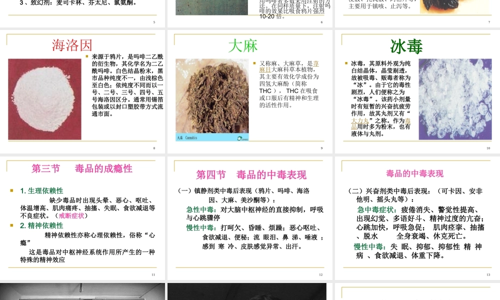 毒品及毒品的危害..ppt