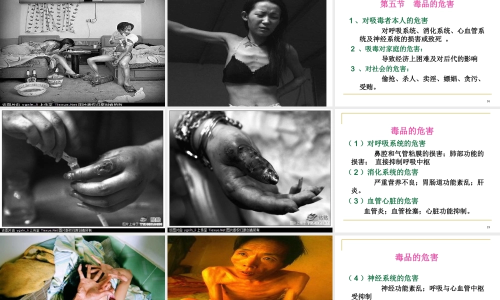毒品及毒品的危害..ppt