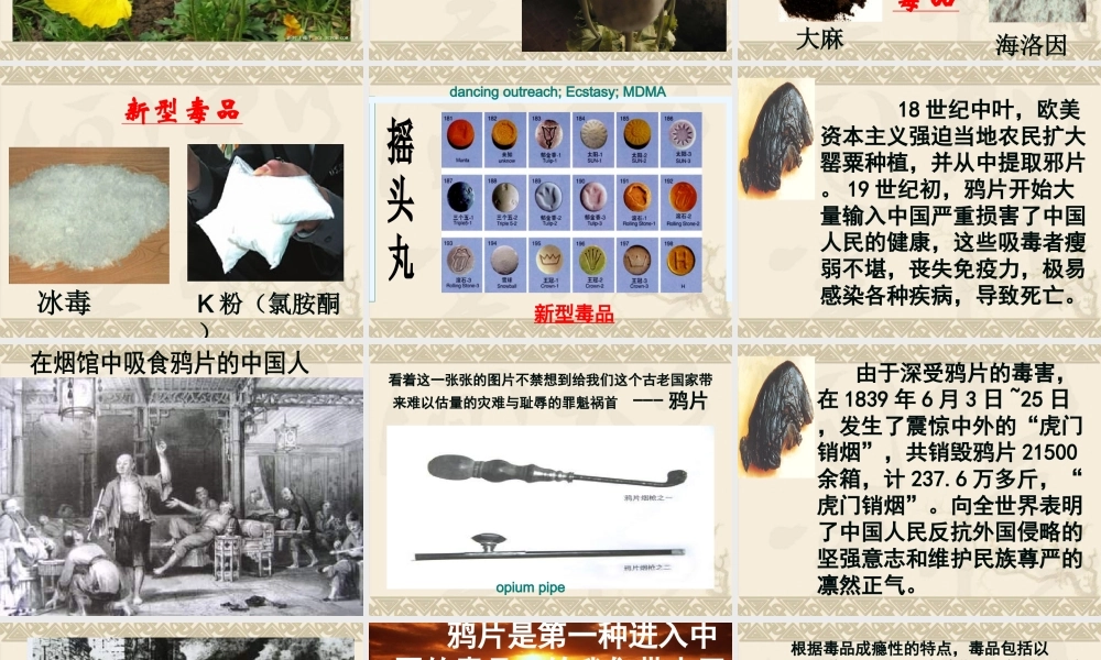 毒品及其危害--lsj.ppt